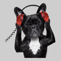 French Bulldog Dj Style Premium Tee | Teevron