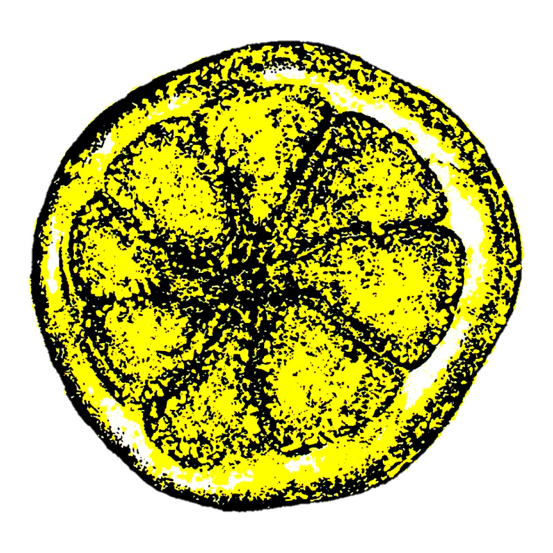 The Stone Roses Premium Tee by artisFamous | Teevron