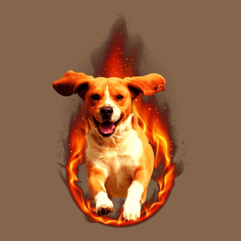 Dog In Fire Premium Tee by artisFamous | Teevron