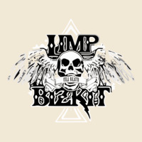 Limp Bizkit Essential Premium Tee | Teevron