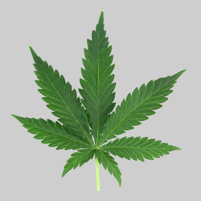 Weed Leaf Premium Tee by artisFamous | Teevron
