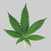 Weed Leaf Premium Tee | Teevron