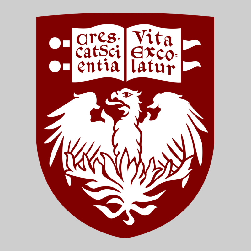 College Of Chicago Premium Tee by artisFamous | Teevron