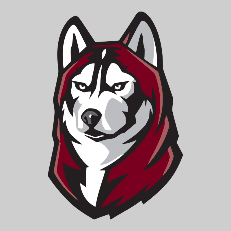 Bloomsburg Huskies Premium Tee by artisFamous | Teevron