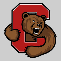 Cornell Big Red Premium Tee | Teevron