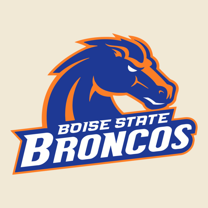 Boise Design Premium Tee by artisFamous | Teevron