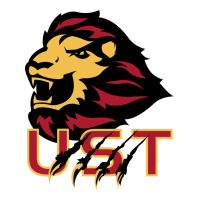 university of saint thomas spirit | Teevron