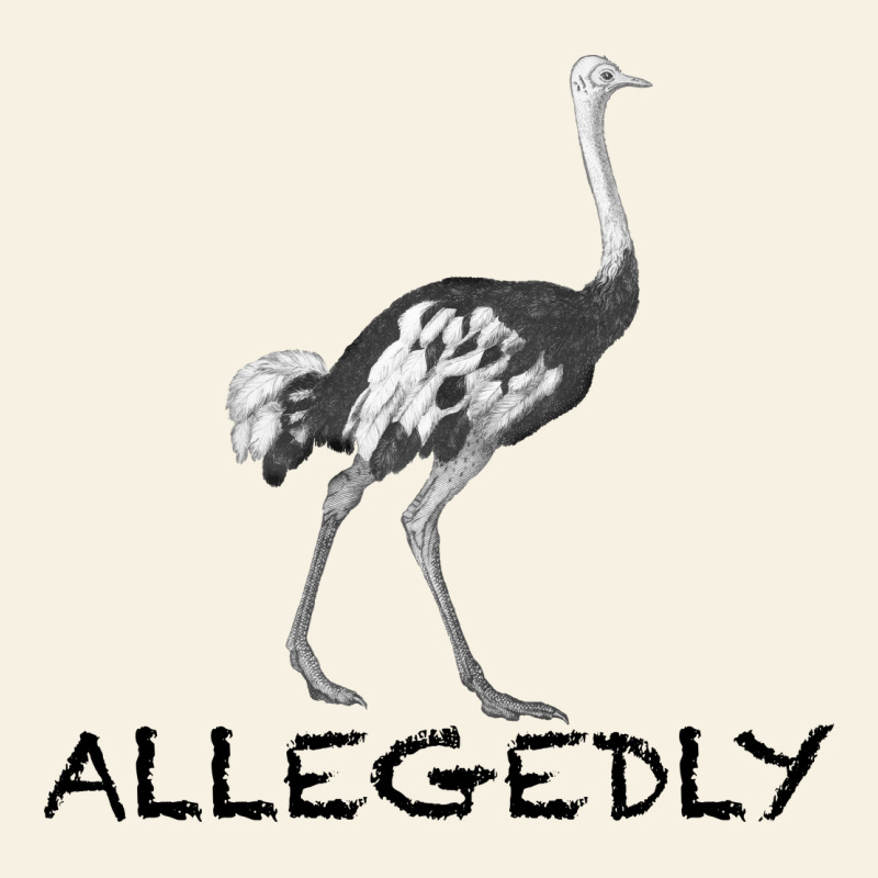 Allegedly Vintage Tee by Bettercallsaul | Teevron