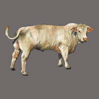 Charolais Bull Urban Heavy Tee | Teevron