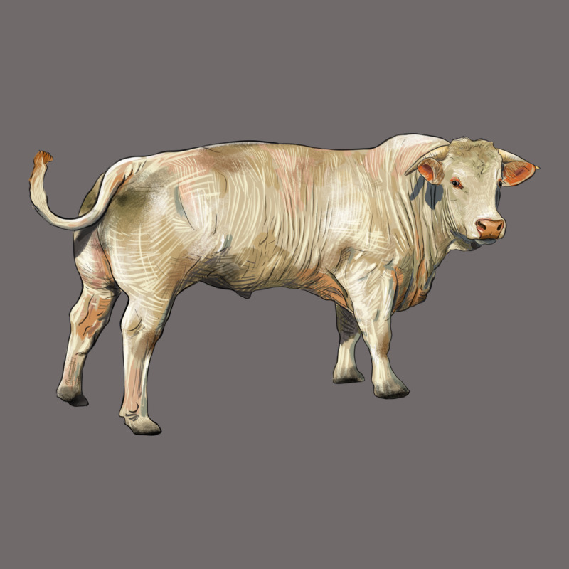 Charolais Bull Urban Heavy Tee by RanaPortraitStore | Teevron