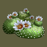 Blossfeldia Cactus Vintage Tee | Teevron