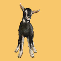 Hand Drawn Baby Alpine Goat Vintage Hoodie | Teevron