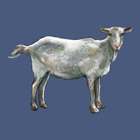 Saanen Goat Vintage Hoodie | Teevron