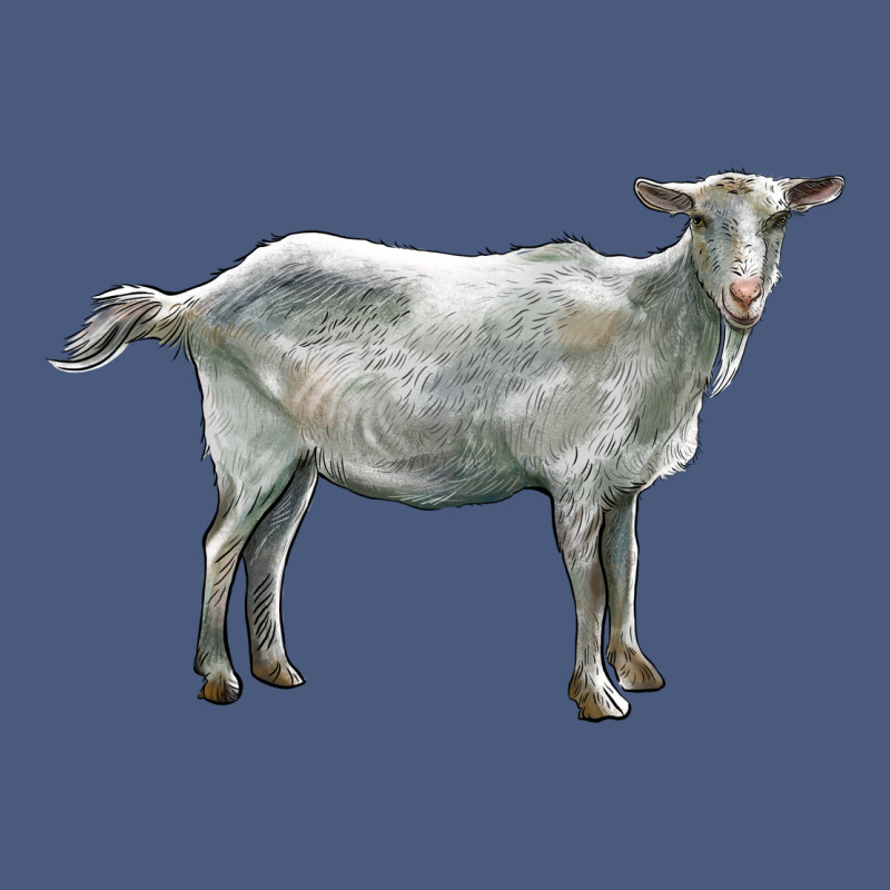 Saanen Goat Vintage Hoodie by LillyAllenDesigns | Teevron