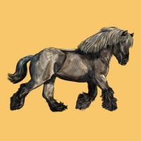 Belgian Horse Vintage Hoodie | Teevron
