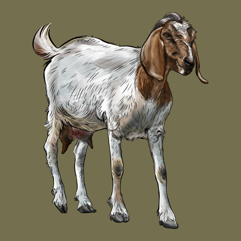 Boer Goat Vintage Hoodie by LillyAllenDesigns | Teevron