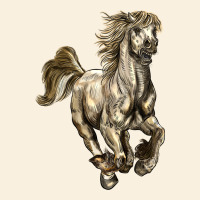Percheron Horse Vintage Hoodie | Teevron