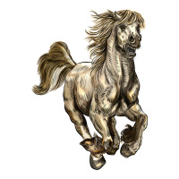 percheron horse | Teevron