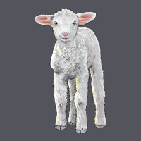 Merino Wool Baby Sheep Vintage Hoodie | Teevron