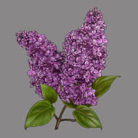 Purple Lilac Flower Vintage Tee | Teevron