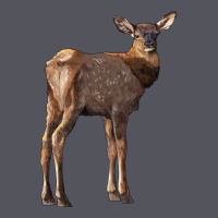 Elk Fawn Deer Vintage Hoodie | Teevron