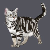 American Shorthair Cat Vintage Hoodie | Teevron