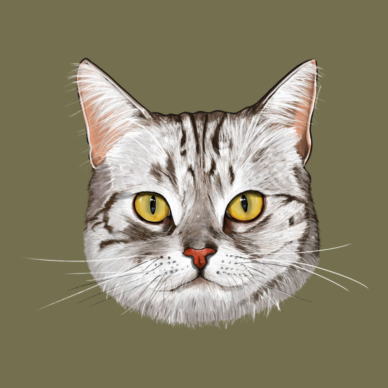American Shorthair Cat Face Vintage Hoodie by LillyAllenDesigns | Teevron