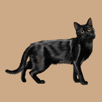 Bombay Cat Vintage Hoodie | Teevron