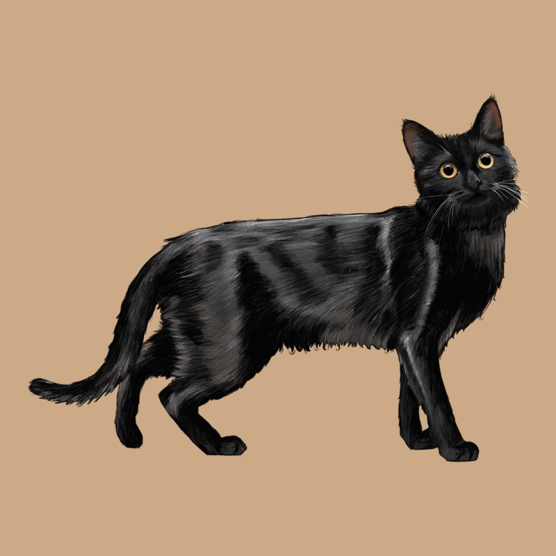 Bombay Cat Vintage Hoodie by LillyAllenDesigns | Teevron