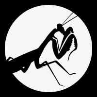 Praying Mantis Premium Tee | Teevron