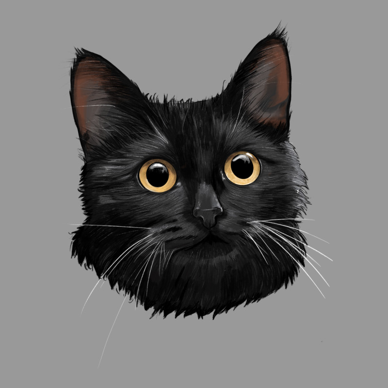 Bombay Cat Face Vintage Hoodie by LillyAllenDesigns | Teevron