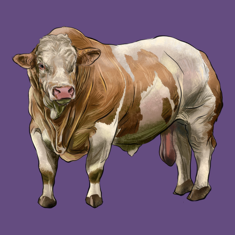 Simmental Bull Vintage Hoodie by LillyAllenDesigns | Teevron