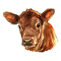 red angus calf face | Teevron