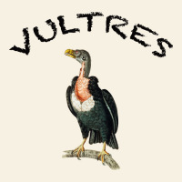 Vultures Vintage Tee | Teevron