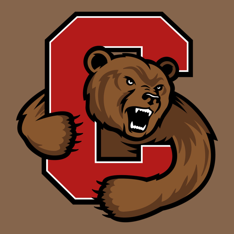 The Cornell Big Red Premium Tee by linhVisuals | Teevron