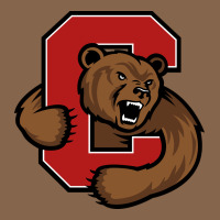 The Cornell Big Red Premium Tee | Teevron