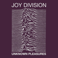 Joy Division Premium Tee | Teevron