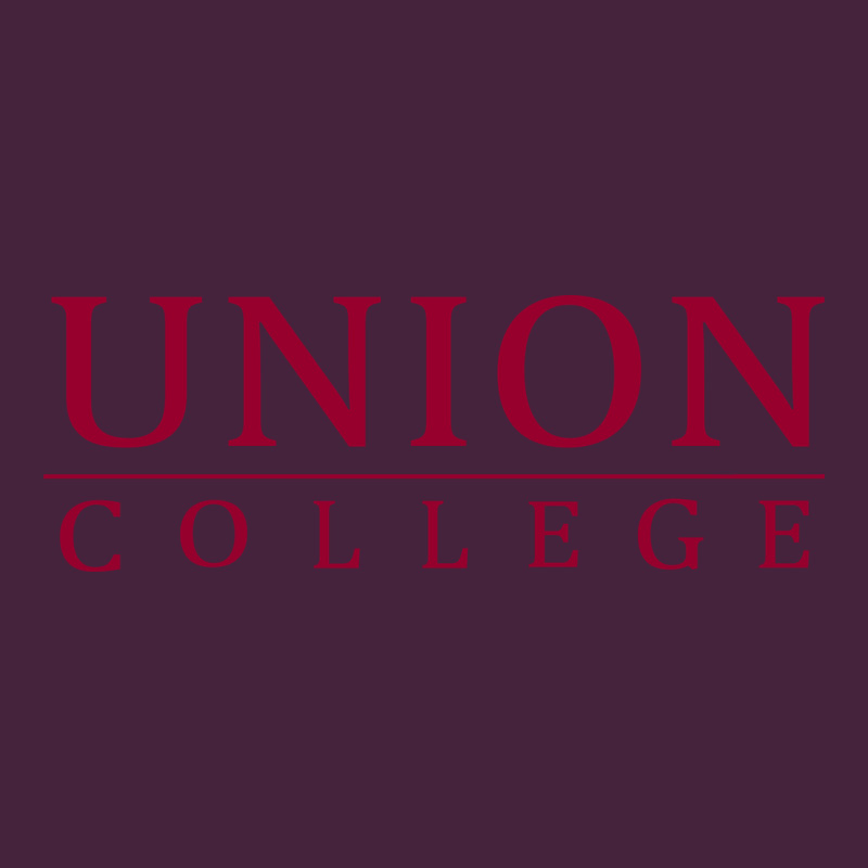 Union College Premium Tee by linhVisuals | Teevron