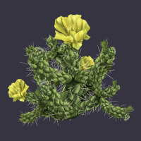 Whipple Cholla Cactus Vintage Hoodie | Teevron
