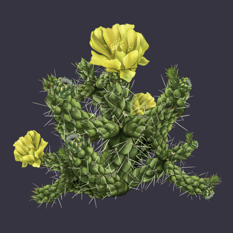 Whipple Cholla Cactus Vintage Hoodie by LillyAllenDesigns | Teevron