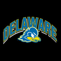 Delaware Sportss Premium Tee | Teevron