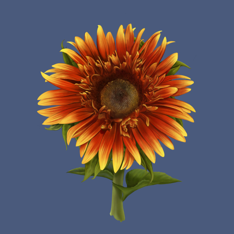 The  Sunflower Vintage Hoodie by LillyAllenDesigns | Teevron