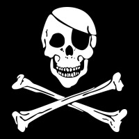 Skull Crossbones Premium Tee | Teevron