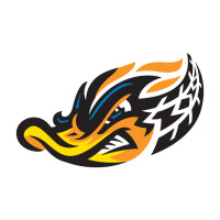 Akron-rubber-ducks Premium Tee | Teevron