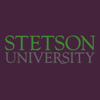 Stetson University Premium Tee | Teevron