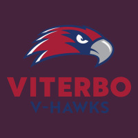 V-h4wks, Viterbo, Education Premium Tee | Teevron