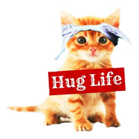 Hug Life Kitty Cat Premium Tee | Teevron