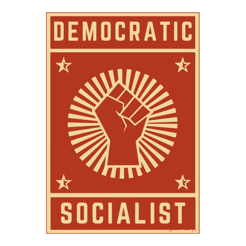 Democratic Socialist Premium Tee by linhVisuals | Teevron