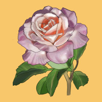 Belinda's Blush Rose Vintage Hoodie | Teevron