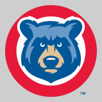Tennessee Smokies Premium Tee | Teevron